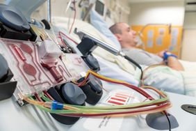 Die allogene Stammzellspende ist fester Bestandteil des heutigen Leistungsspektrums des Instituts für Klinische Transfusionsmedizin und Hämotherapie.