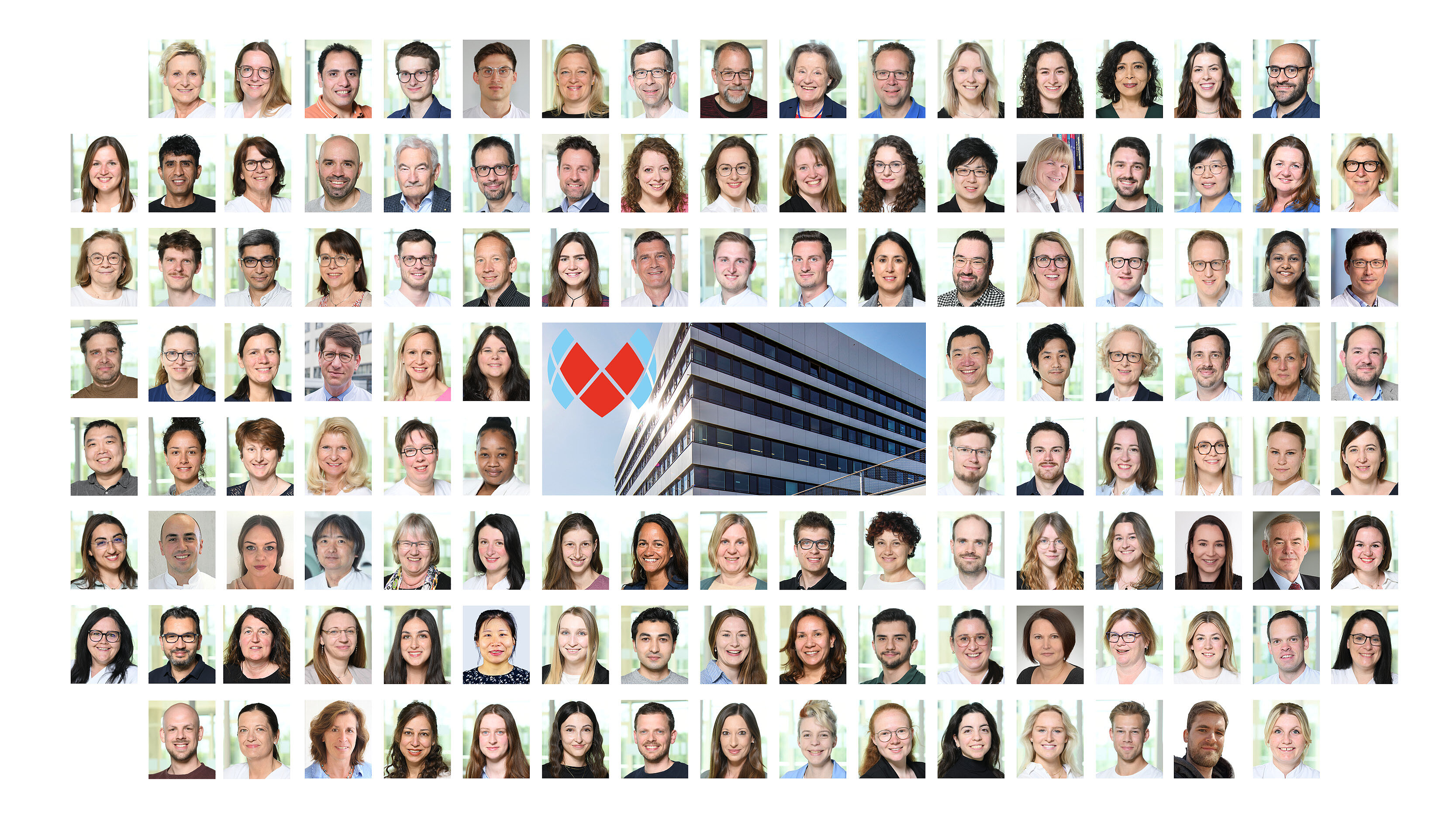 Team DZHI Collage aus allen Teammitgliedern am DZHI