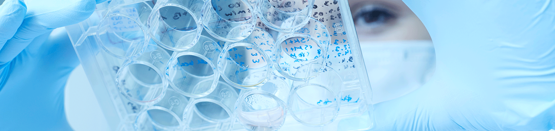 Illustration: Forschung in der Genetik