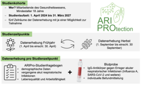 Aufbau der Studie ARIPro - Grafik 