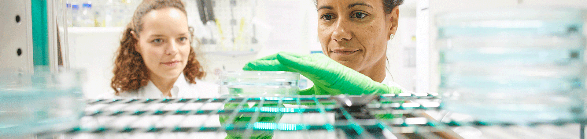 Illustration: Am Inkubator der Genetik