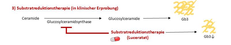 Substratreduktionstherapie