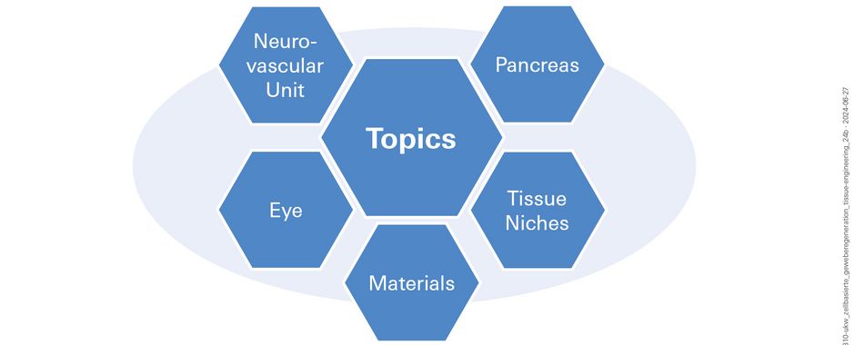 Graphic with the research topics in cell-based tissue regeneration: neurovascular unit, eye, pancreas, tissue niches, materials