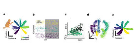 Graphical Abstract aus 5 Bildern, die in Nature Methods erschienen sind.