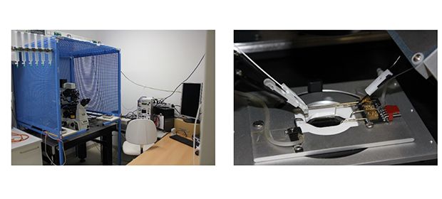 Illustration: IonOptics force measurement set-up