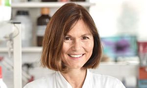 Prof. Dr. med. Claudia Sommer Portraitfoto: Prof. Dr. med. Claudia Sommer