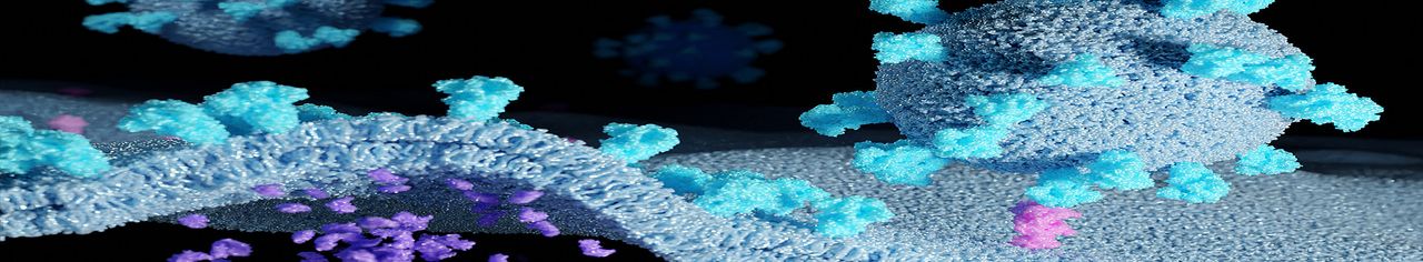 Coronaviren (runde Partikel) mit Spike-Proteinen (cyan) infizieren eine Wirtszelle, die vereinzelt ACE-2-Rezeptoren (rosa) trägt.