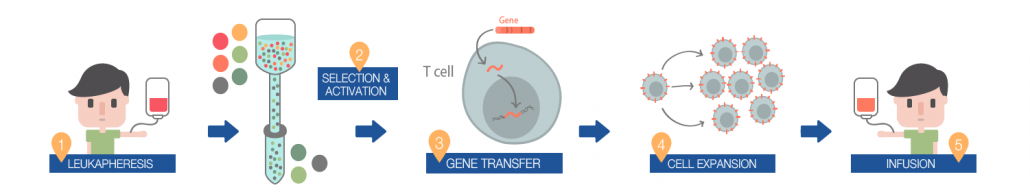 Illustrative figure of the clinical application process