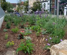 Blumenwiese mit einer Bank, auf der zwei Personen sitzen