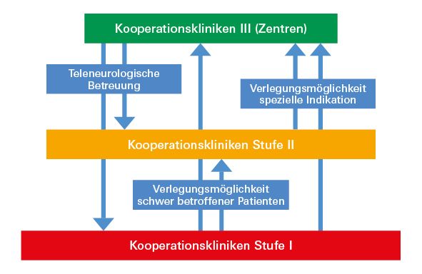 Grafik über den Aufbau des TRANSIT-Stroke Netzwerks