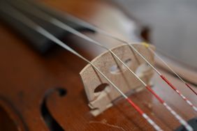 Foto zeigt Violine