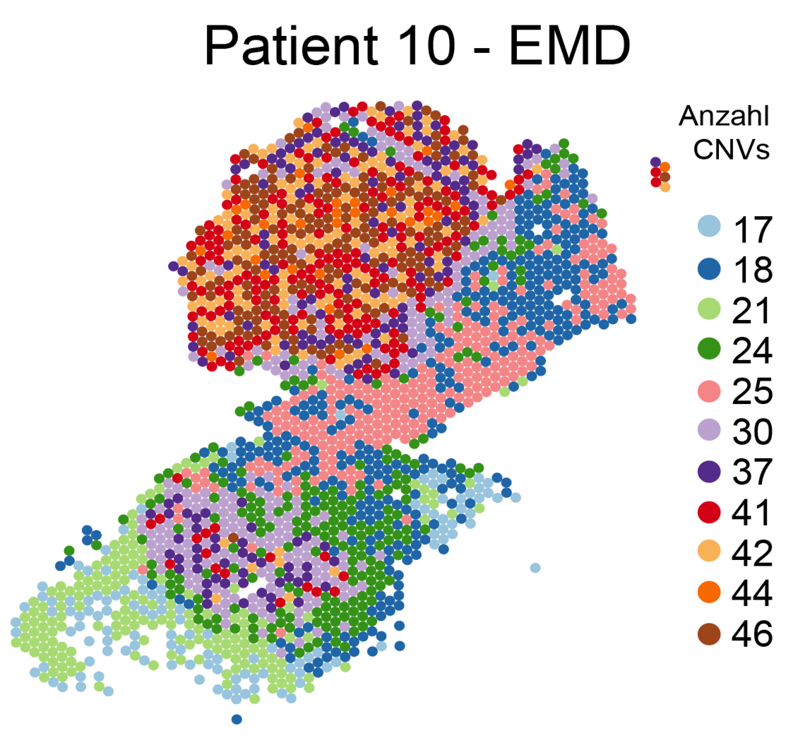 Copy Number Variations sind in verschiedenen Farben dargestellt. 