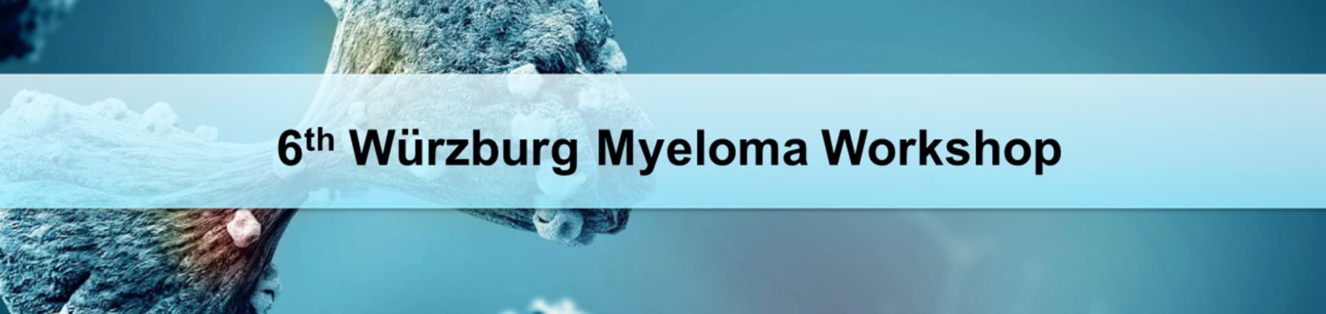 Symboldbild mit Aufschrift 6th Würzburg Myeloma Workshop