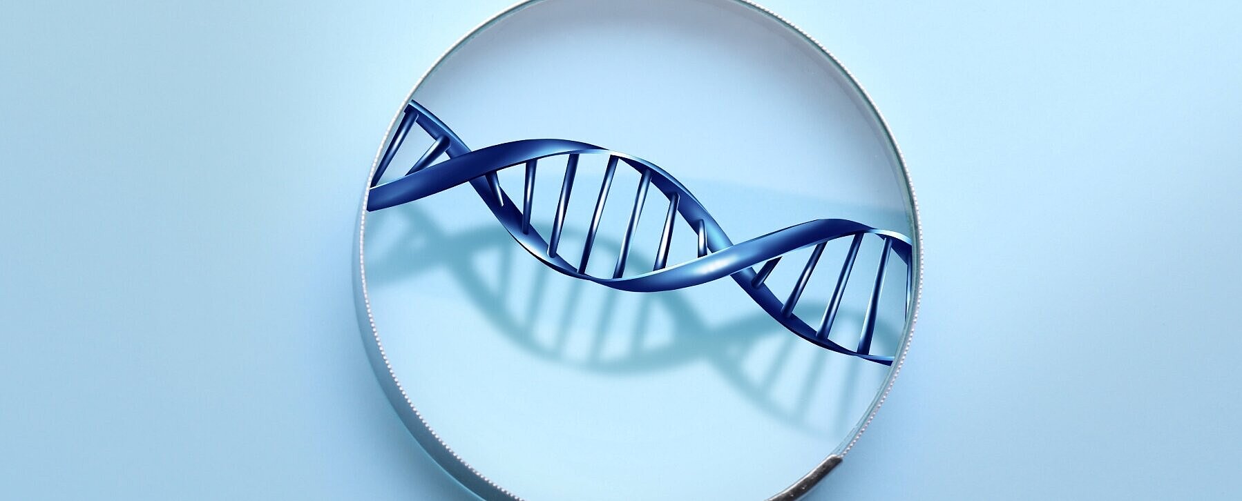 DNA unter Lupe