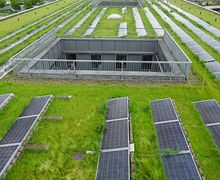 Die Photovoltaik-Anlage auf dem Gründach des ZIM