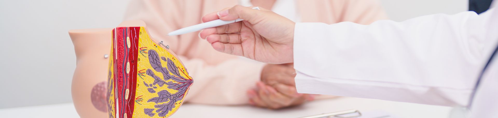 Modell Brust © Jo Panuwat D - stock.adobe.com Ärztliche Person zeigt mit Stift auf Modell der Brust