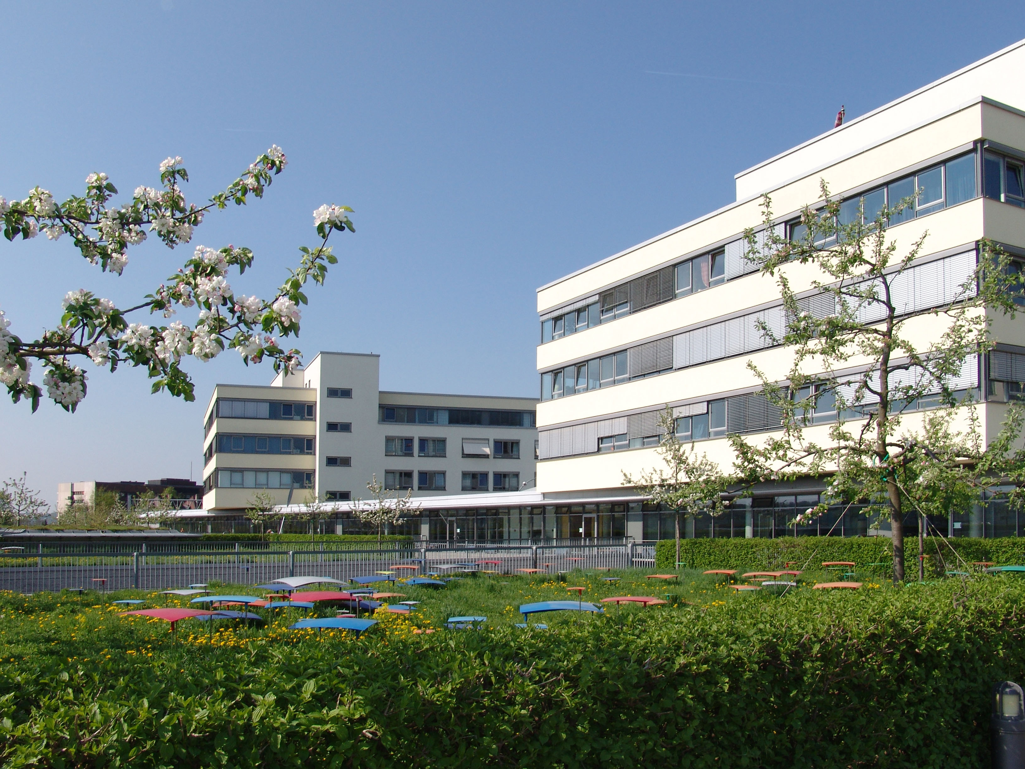 Das 23. Myelom-Forum des Uniklinikums Würzburg findet am 4. Juli 2024 im Zentrum für Innere Medizin statt.