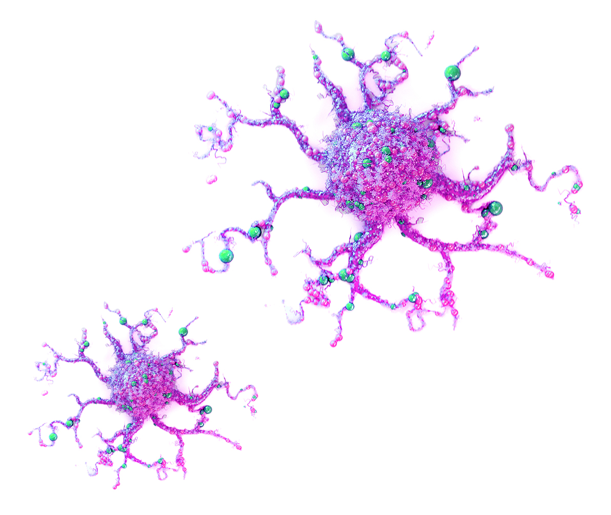Dekoratives Bild: Künstlerische Darstellung von zwei Zellen, möglicherweise Krebszellen, mit komplexen, verzweigten Ausläufern. Die Zellen sind in Rosa und Lila gehalten, mit kleinen grünen Punkten. 