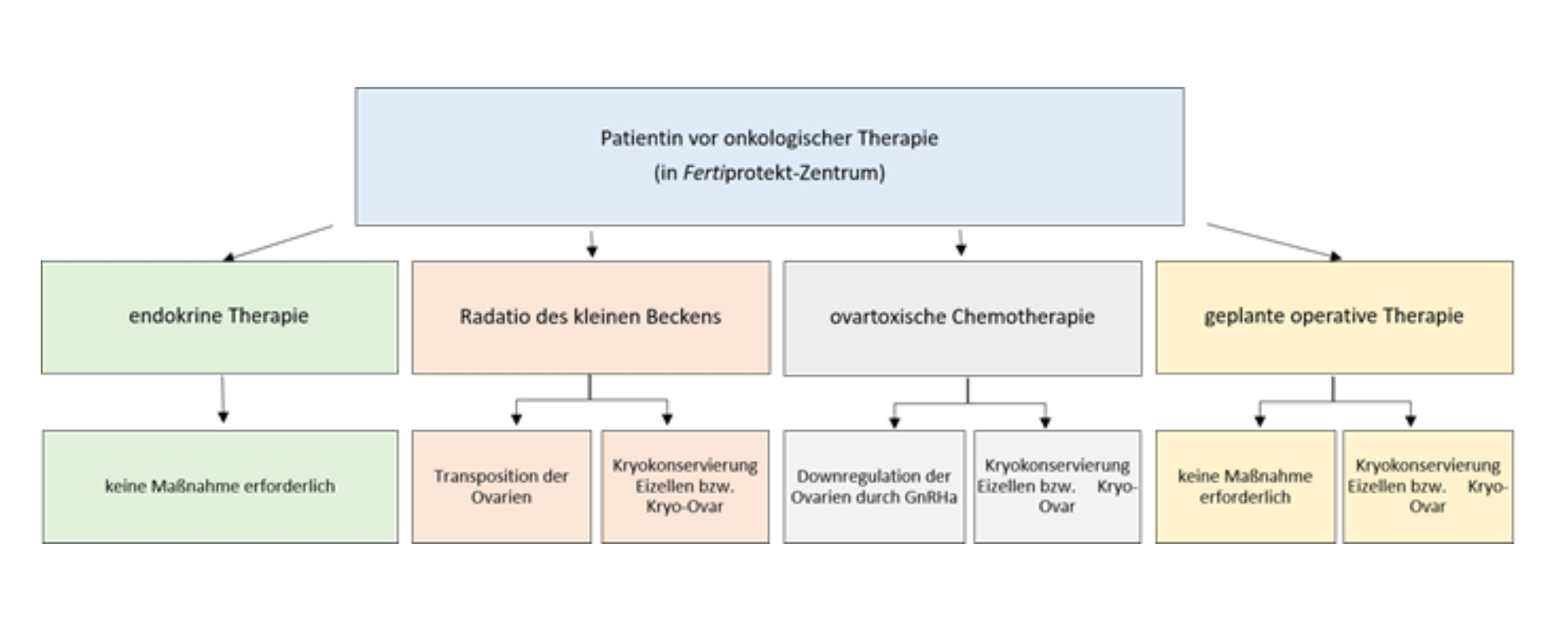 Flussdiagramm zur Zusammenfassung der Wahl der fertilitätsprotektiven Maßnahme in einem FertiPROTEKT-Zentrum bei Frauen in Abhängigkeit von der onkologischen Therapie